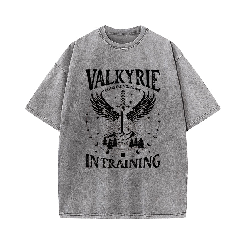 Valkyrie Acotar Cassian SJM Merch Washed T-Shirt