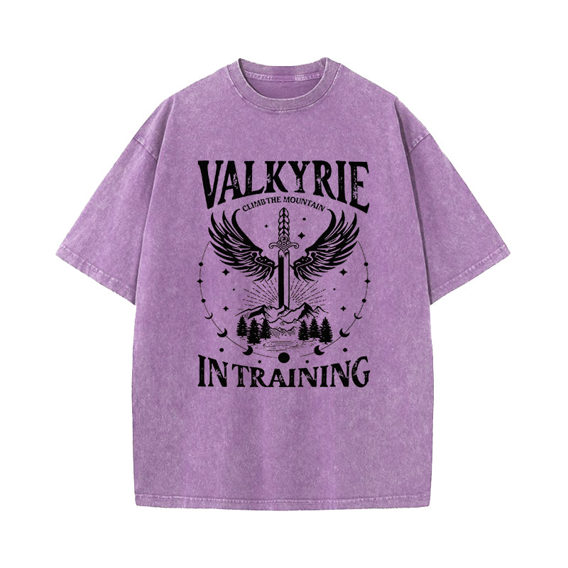 Valkyrie Acotar Cassian SJM Merch Washed T-Shirt