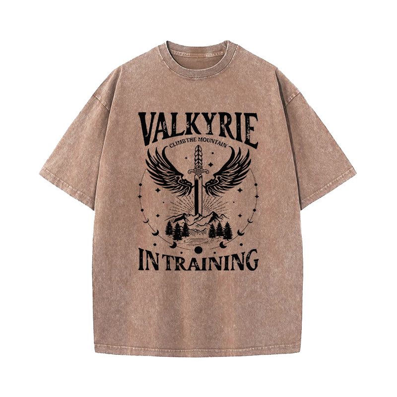 Valkyrie Acotar Cassian SJM Merch Washed T-Shirt