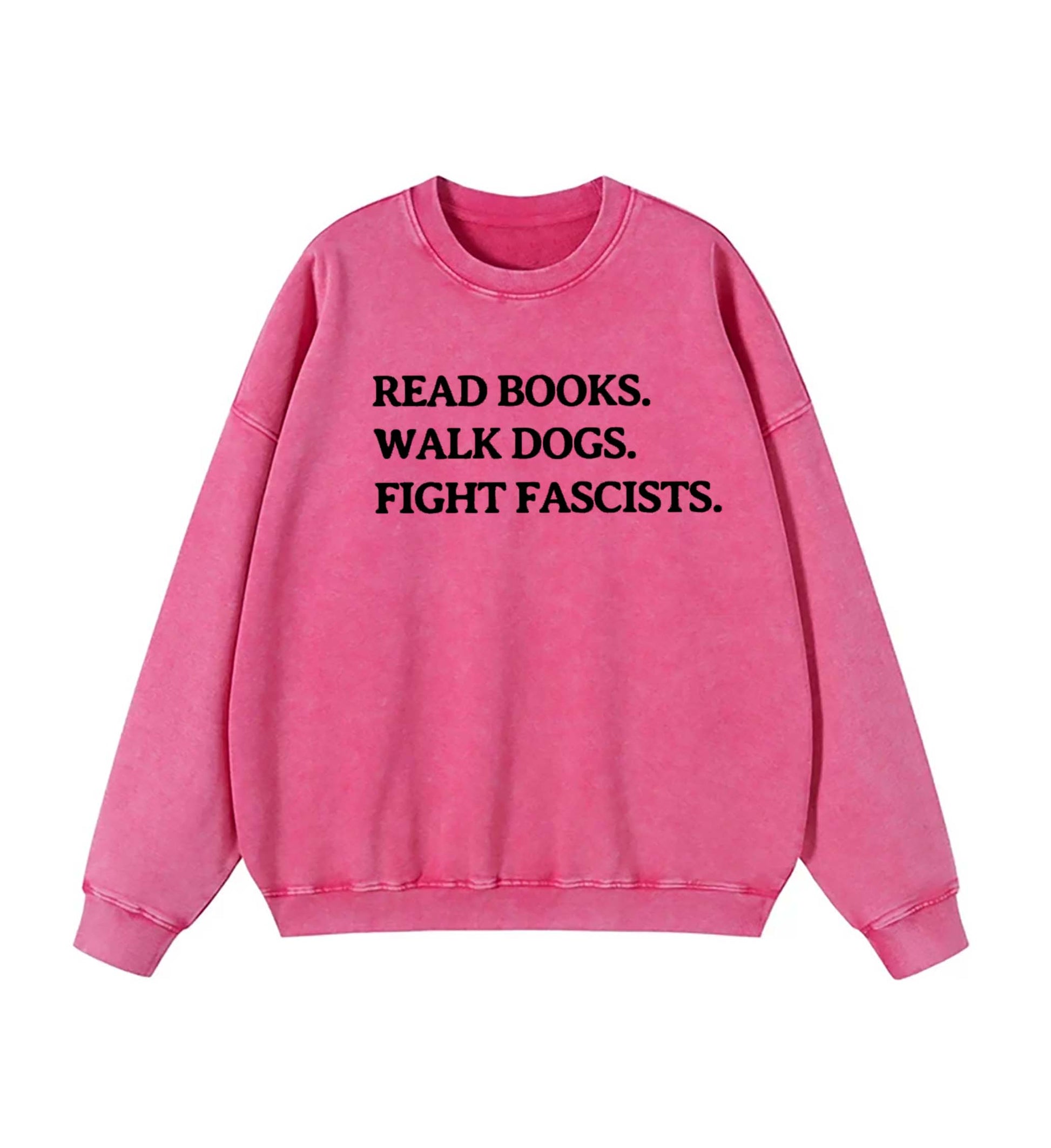 Read Books Walk Dogs And Fight Sweatshirt