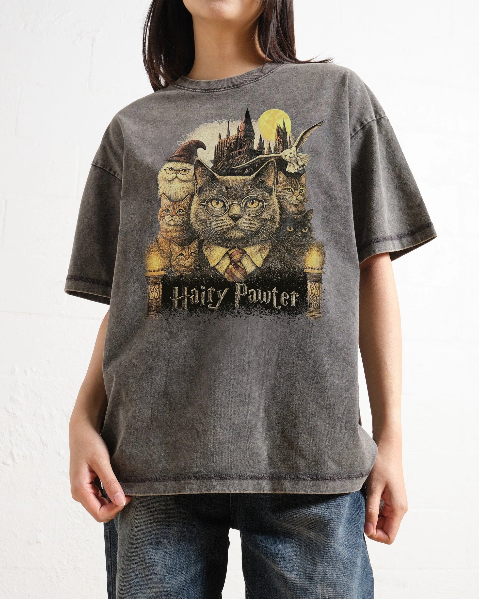 Hairy Pawter Wizard Fantasy Washed T-Shirt