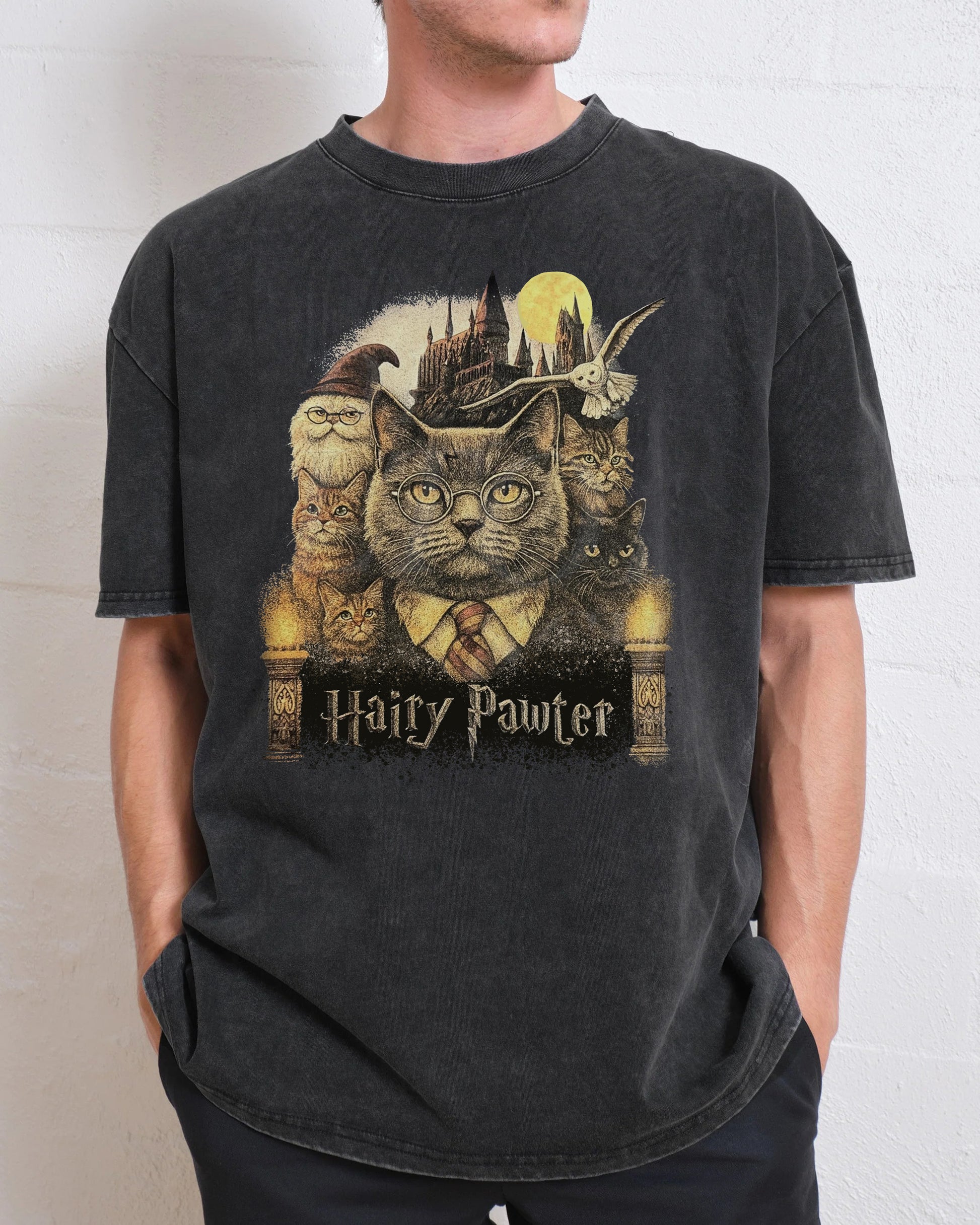 Hairy Pawter Wizard Fantasy Washed T-Shirt