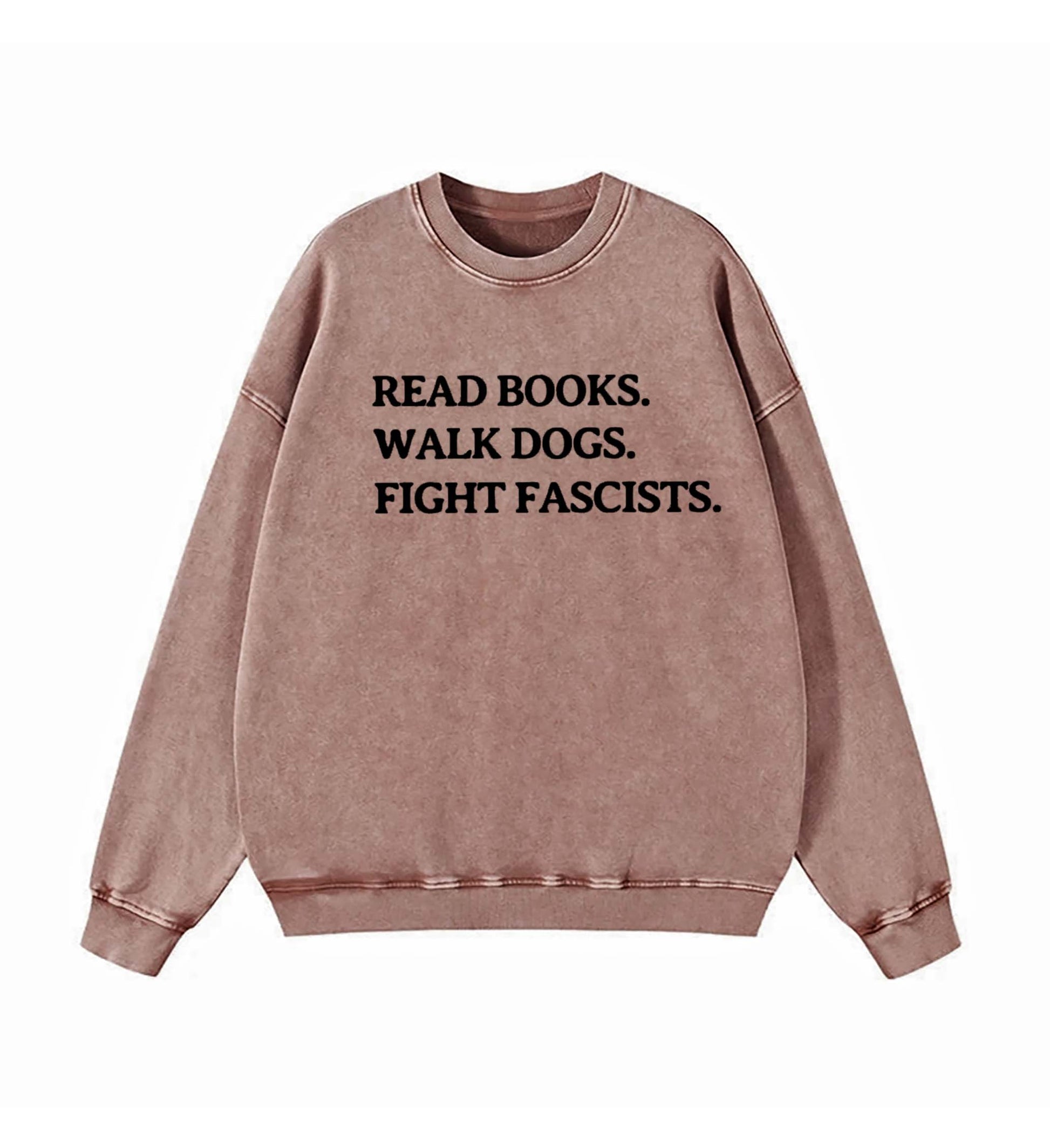 Read Books Walk Dogs And Fight Sweatshirt