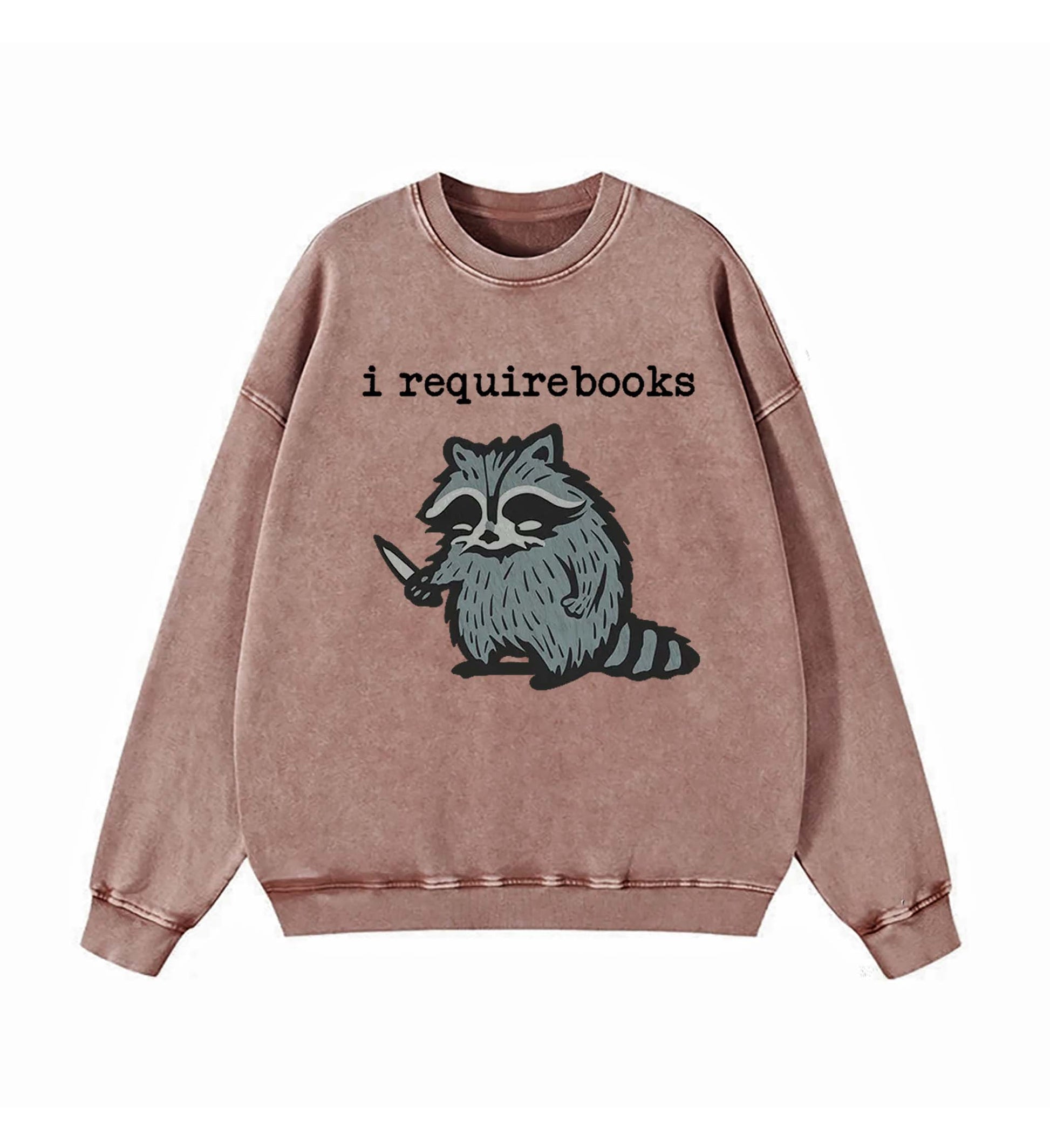 I Require Books Sweatshirt