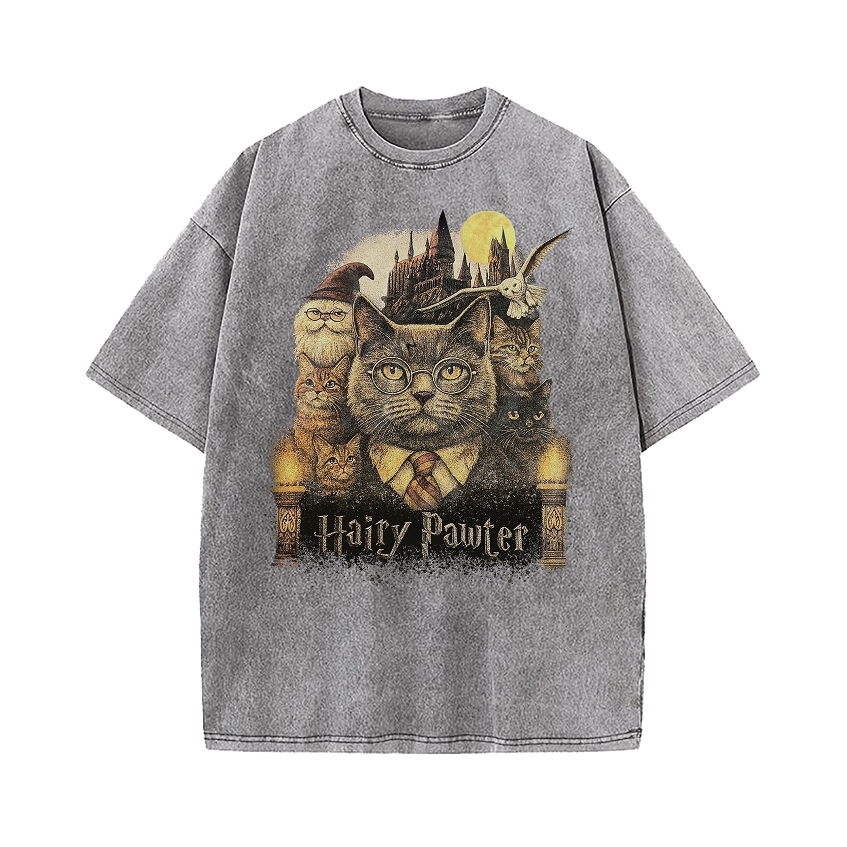 Hairy Pawter Wizard Fantasy Washed T-Shirt