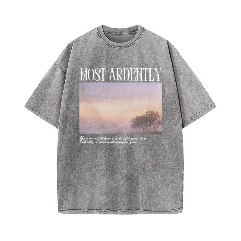 Pride & Prejudice Most Ardently Washed T-Shirt