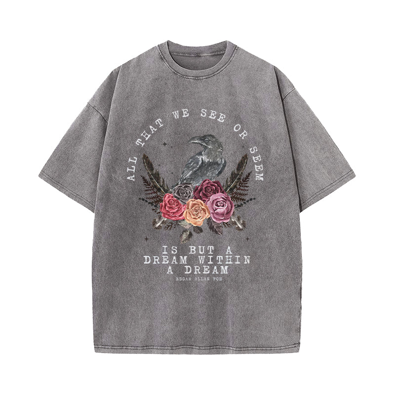 All That We See Or Seem A Dream Within A Dream Washed T-Shirt