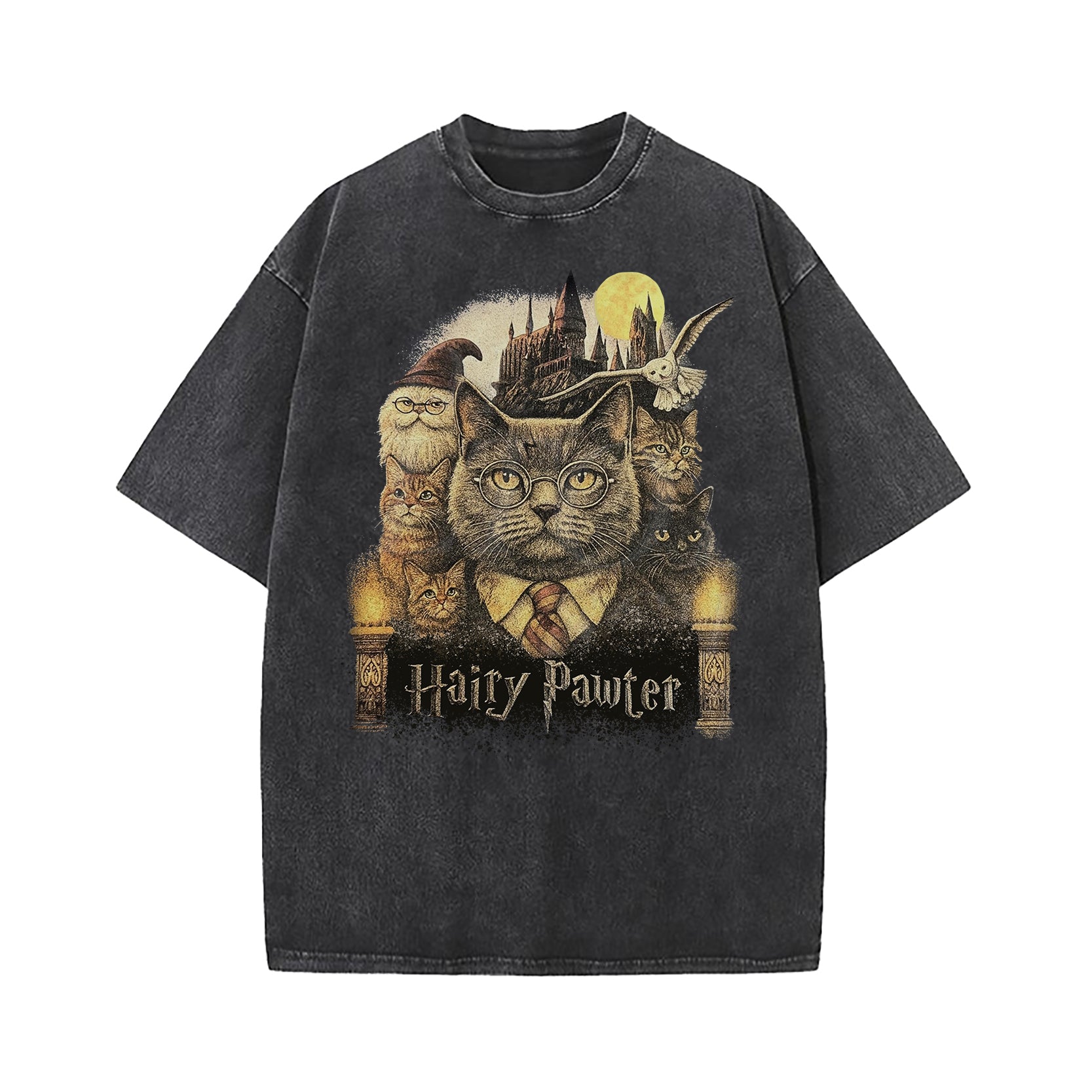 Hairy Pawter Wizard Fantasy Washed T-Shirt