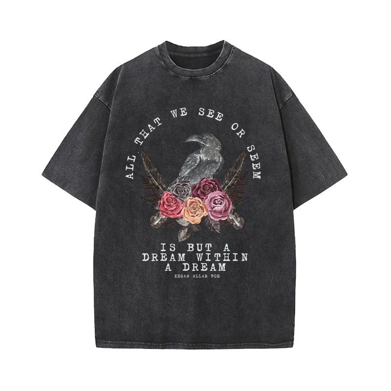 All That We See Or Seem A Dream Within A Dream Washed T-Shirt