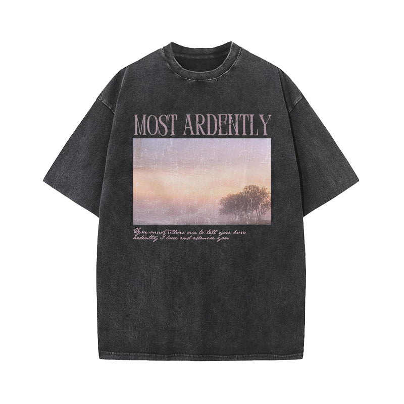Pride & Prejudice Most Ardently Washed T-Shirt