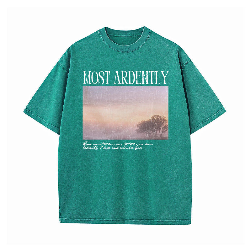 Pride & Prejudice Most Ardently Washed T-Shirt