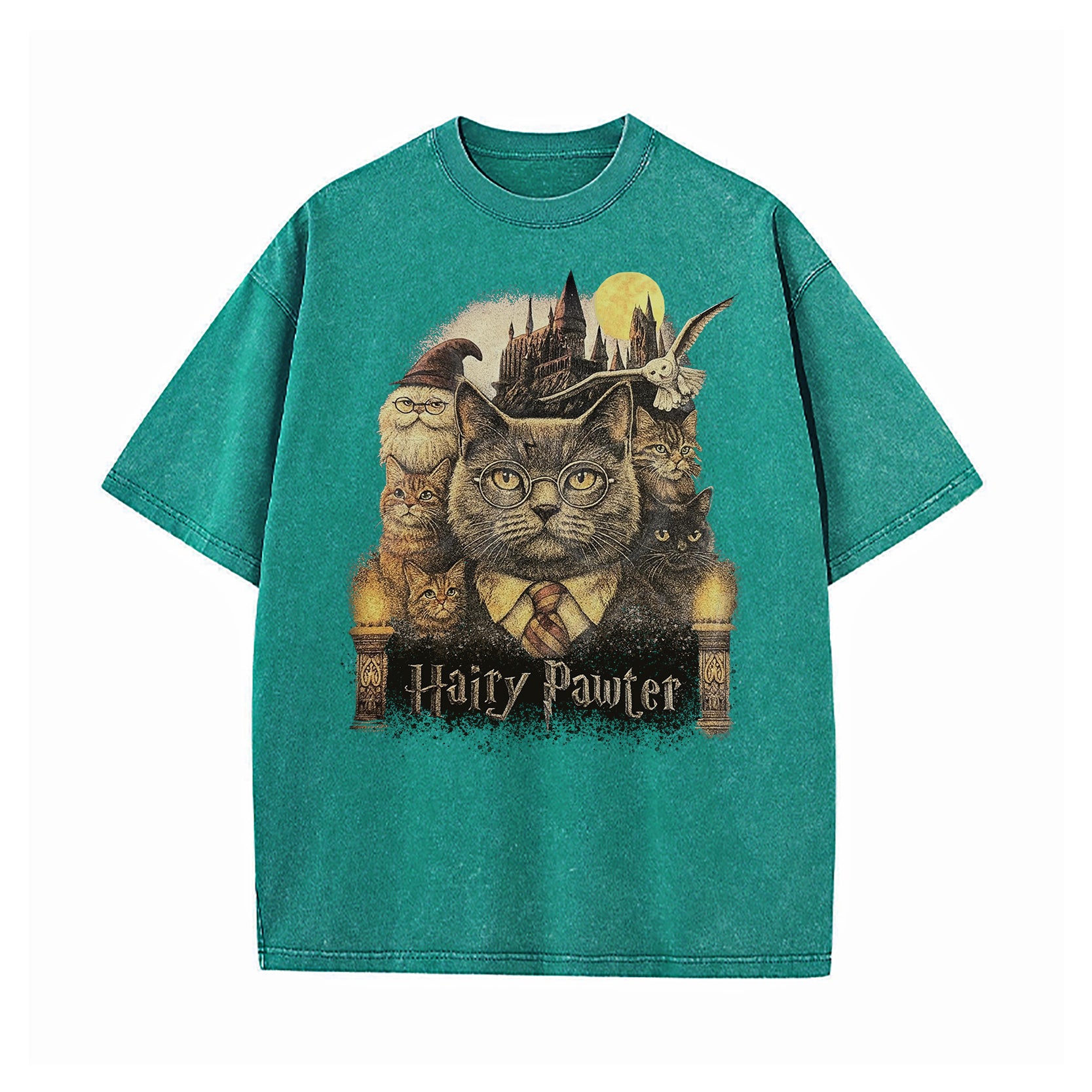 Hairy Pawter Wizard Fantasy Washed T-Shirt