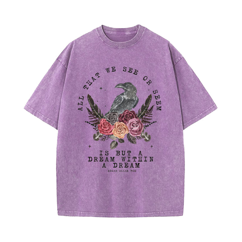 All That We See Or Seem A Dream Within A Dream Washed T-Shirt