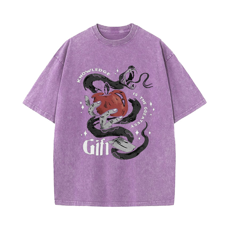 Knowledge Is The Greatest Gift Washed T-Shirt