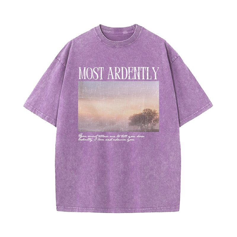 Pride & Prejudice Most Ardently Washed T-Shirt