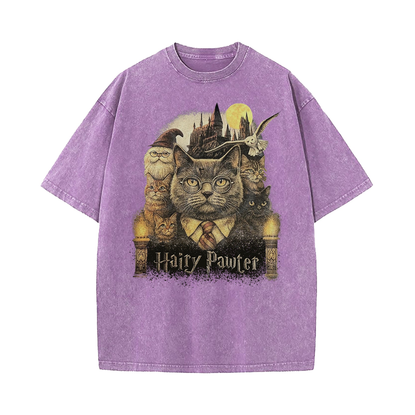 Hairy Pawter Wizard Fantasy Washed T-Shirt