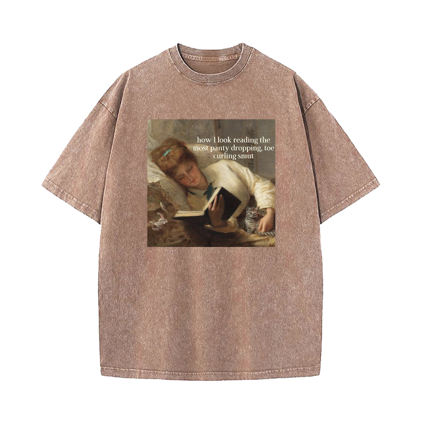 Renaissance Painting Reading Straight-Faced Meme Washed T-Shirt