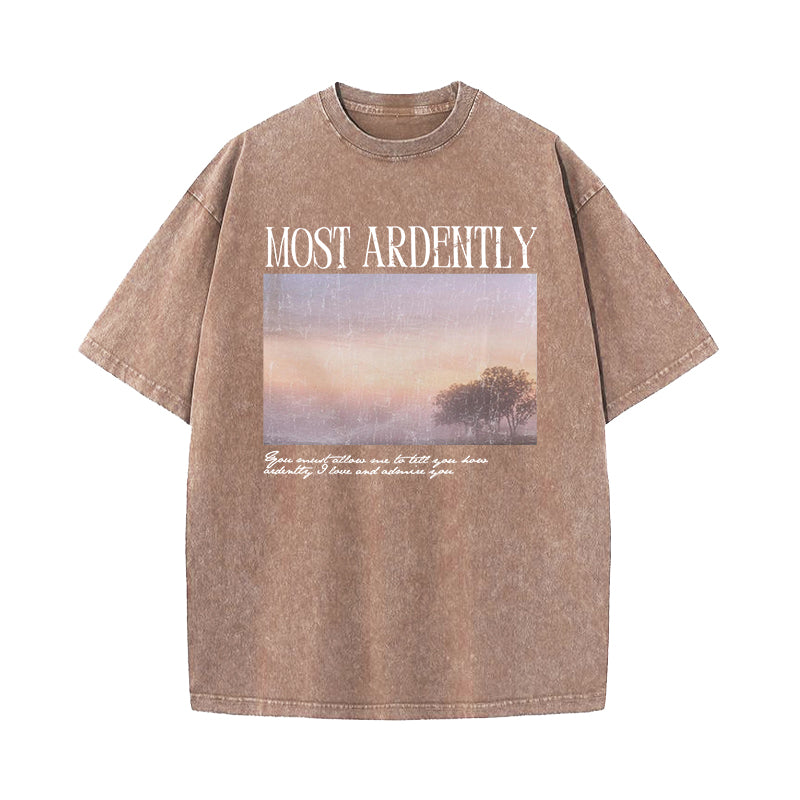 Pride & Prejudice Most Ardently Washed T-Shirt