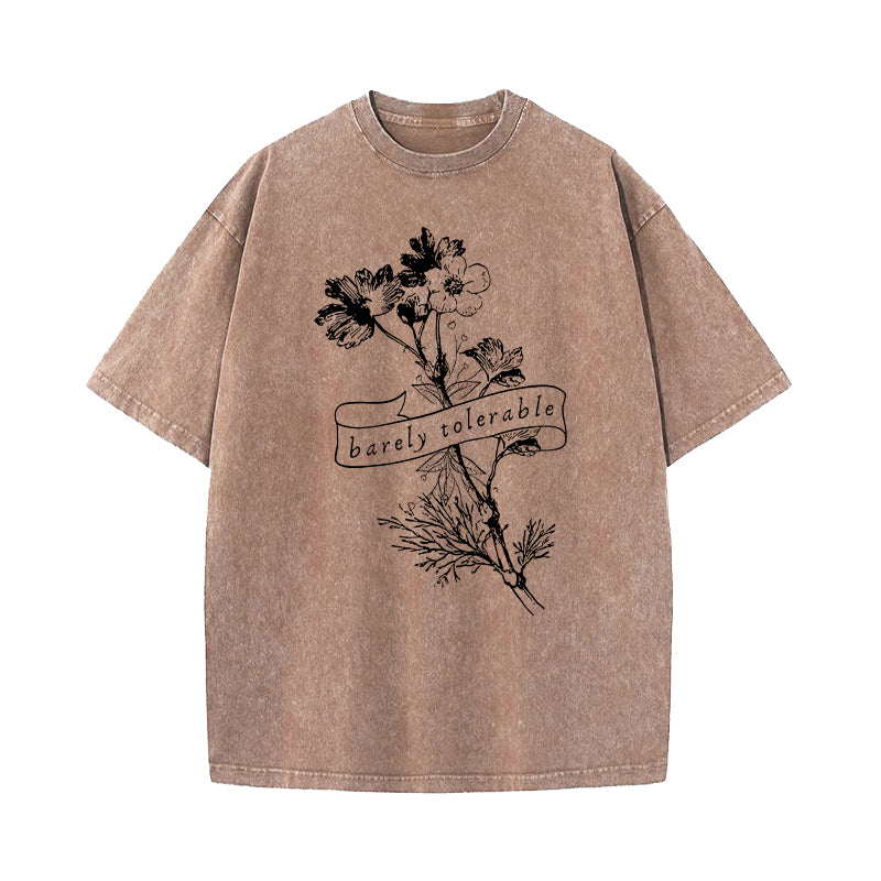 Barely Tolerable Pride And Prejudice Washed T-Shirt