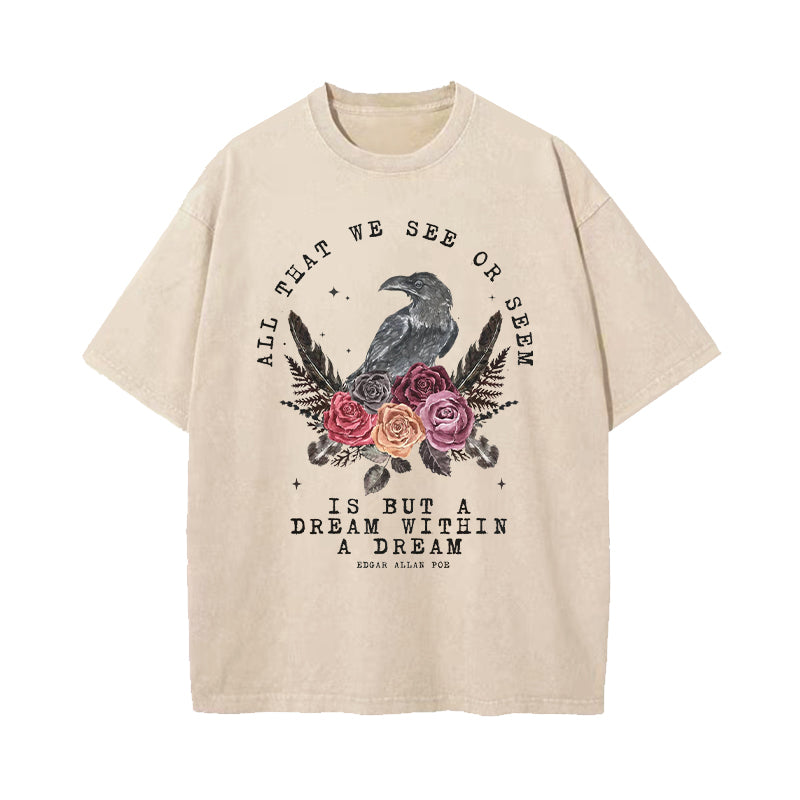 All That We See Or Seem A Dream Within A Dream Washed T-Shirt