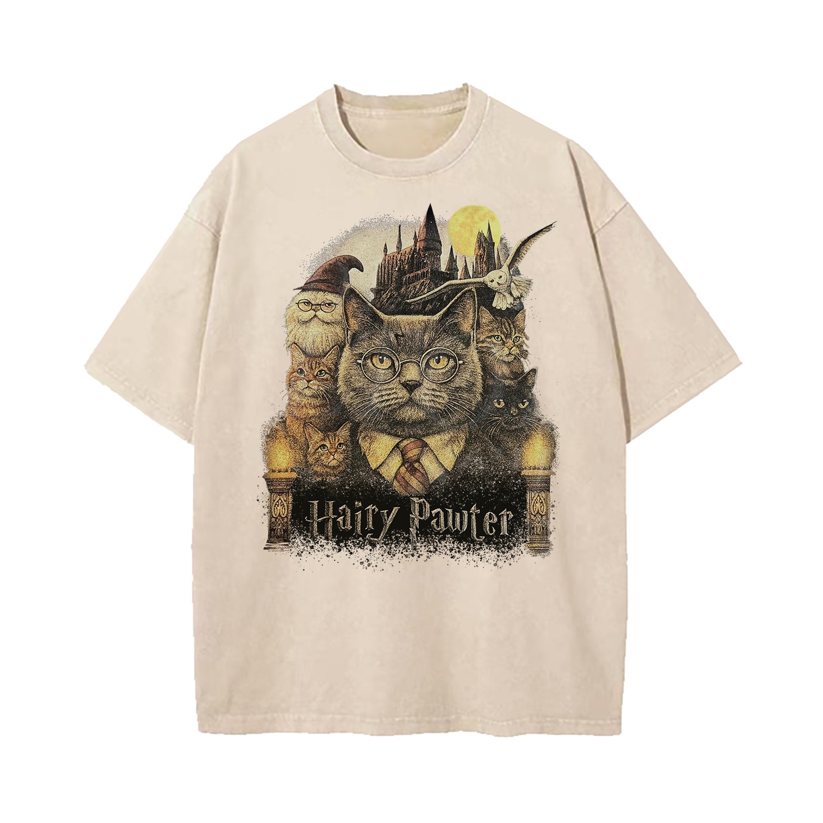 Hairy Pawter Wizard Fantasy Washed T-Shirt