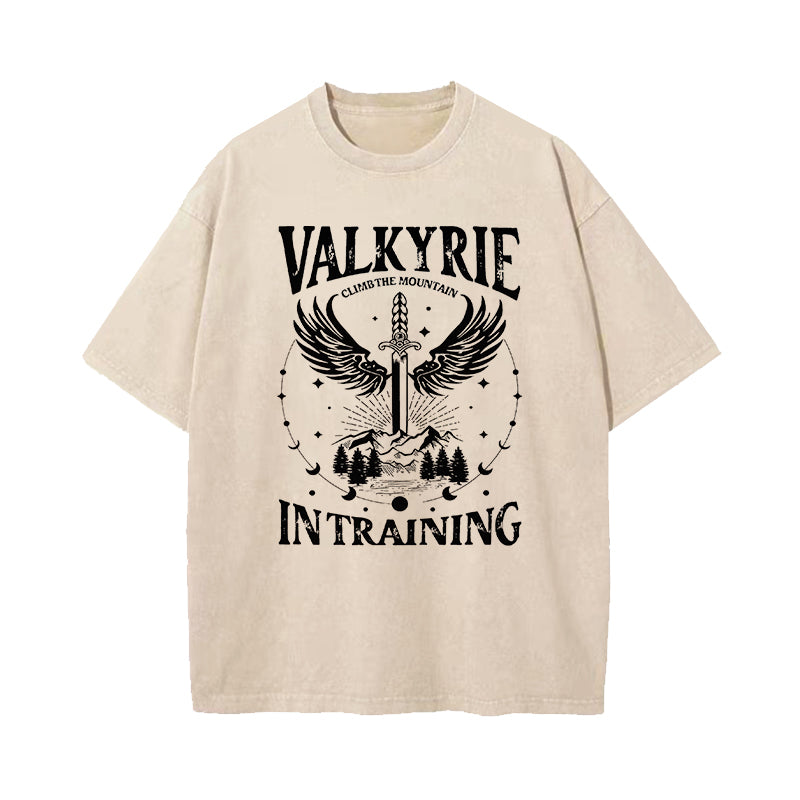 Valkyrie Acotar Cassian SJM Merch Washed T-Shirt